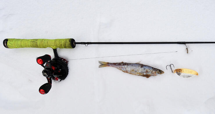 Ice fishing quandary: the jigging spoon paradox - Outdoor News