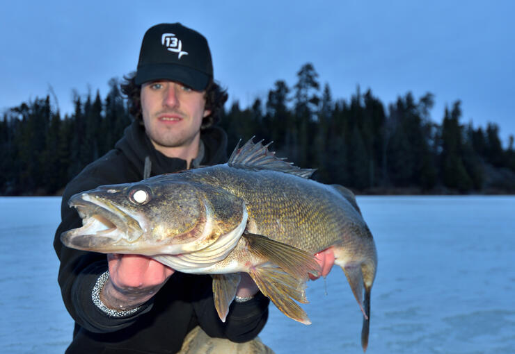 Types of Walleye Forage - In-Fisherman