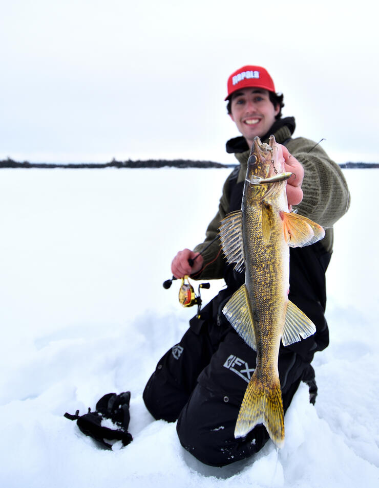 Basin-Shape Walleye  Northern Ontario Travel