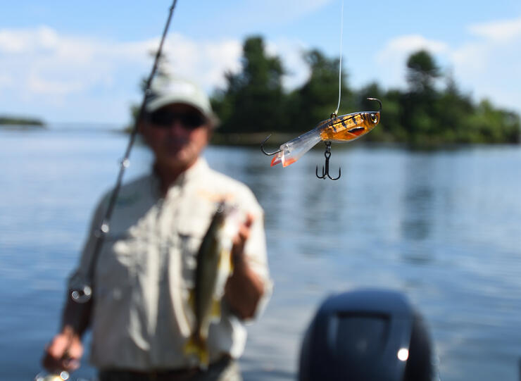 walleye-bait