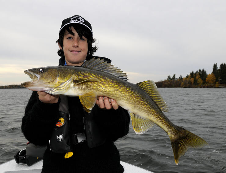 walleye image