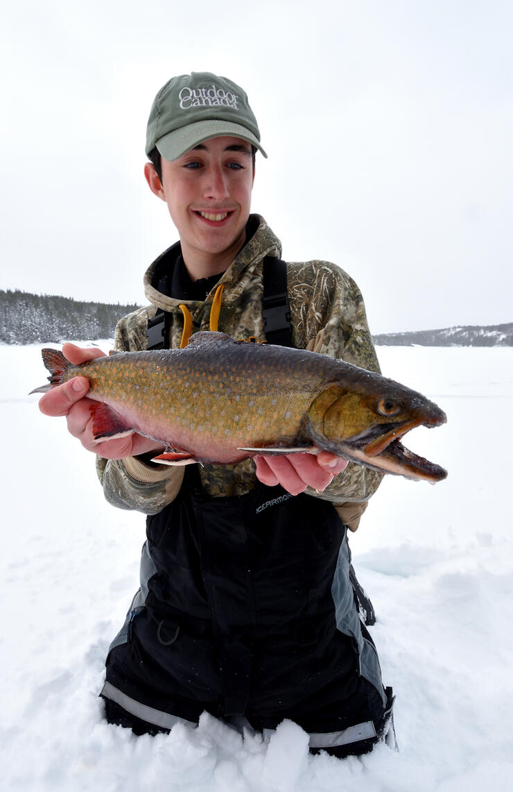 speckle-splake-trout-8