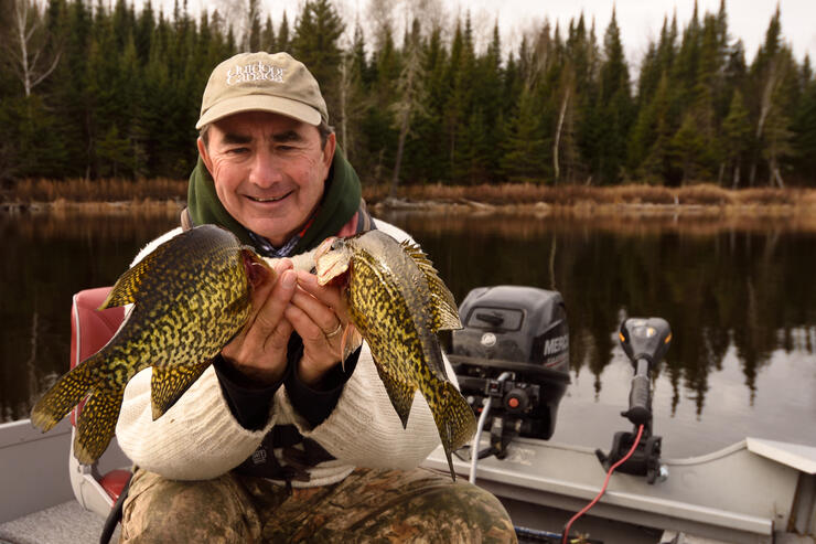 ontario crappie