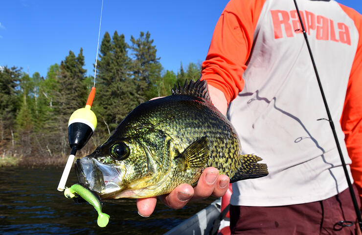 Fish a Float for Summer Crappie