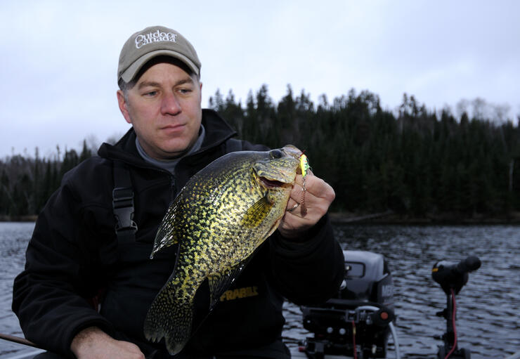 ontario crappie