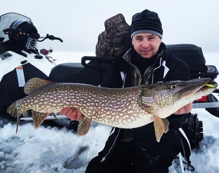 northern-pike