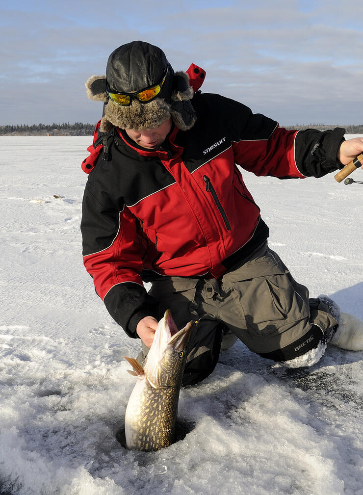 How we icefish from the ice for pike in Sweden (1 out of 15 rods). : r/ IceFishing