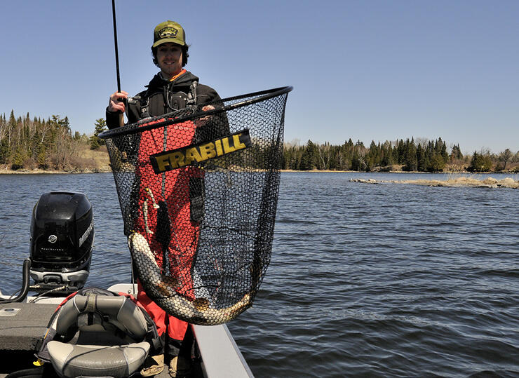 Fishing with Umbrella Rigs in Northern Ontario