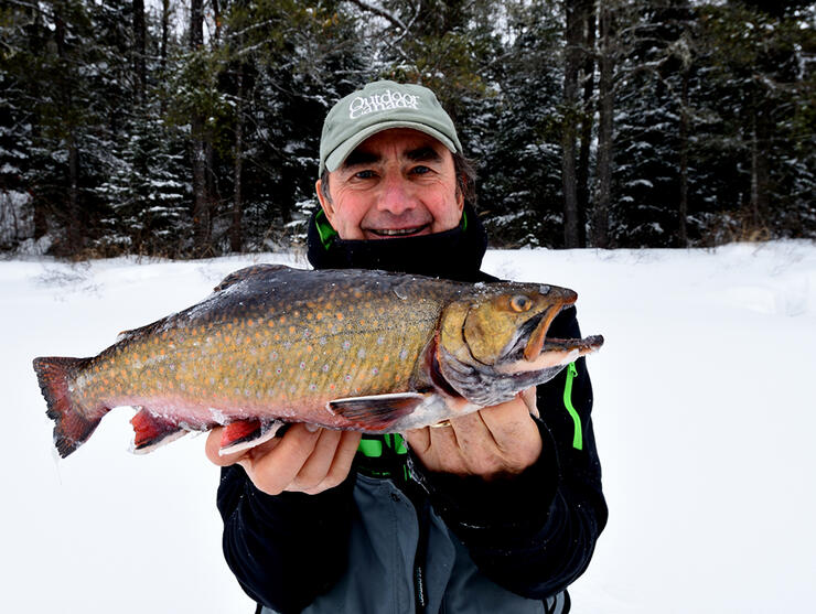 speckle-splake-trout-5