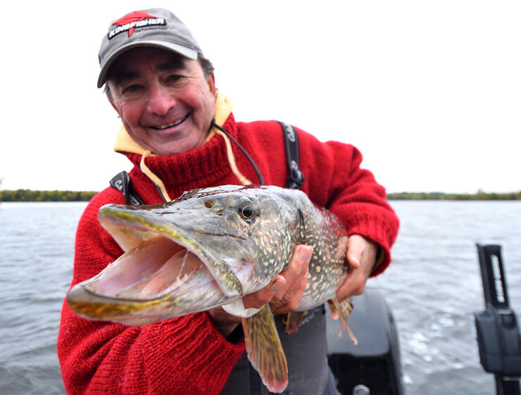 Four hooks legal fishing the Alabama Rig in Ontario : Alabama Rig