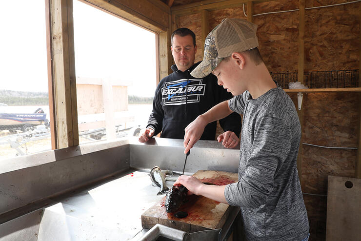 Filleting a fish