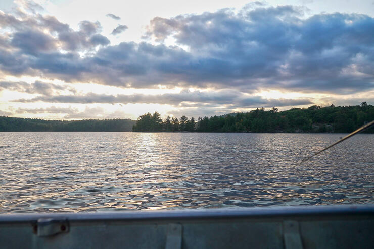 aerial of hastie lake boat