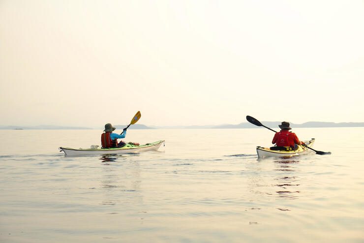 Two kayakers on a lake on a foggy day.