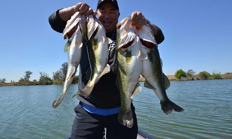 angler holding 4 largemouth bass