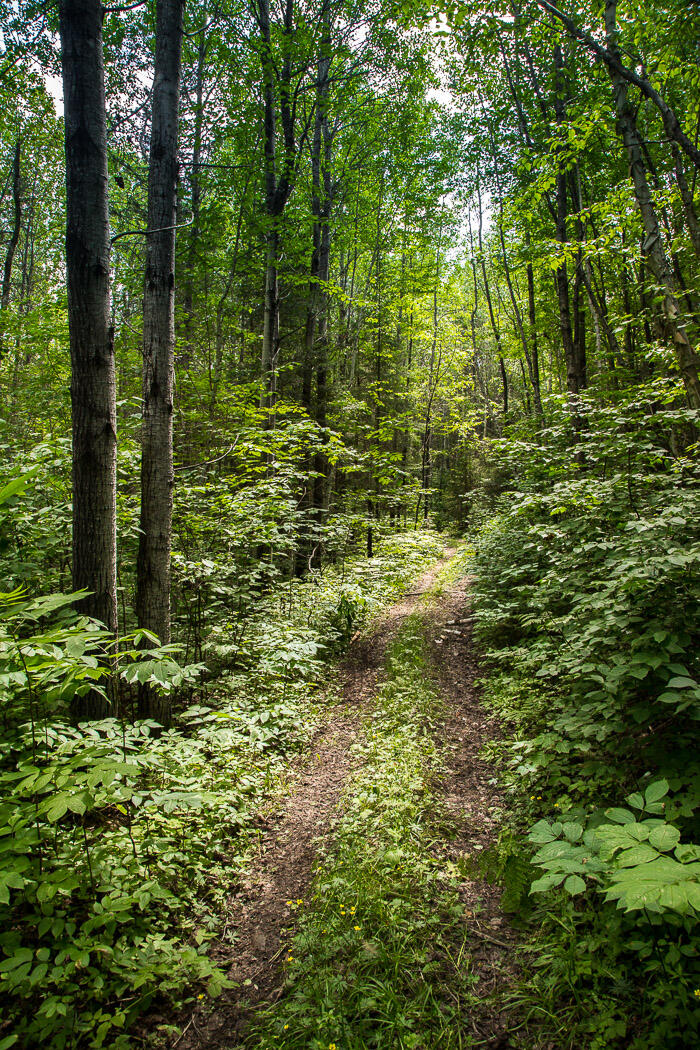 Family Friendly Hiking Trails in Latchford Temiskaming Shores Area ...