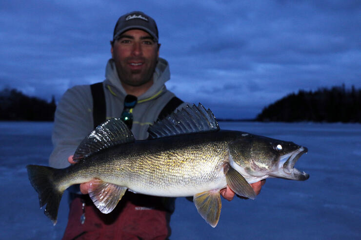 Ice Fishing for Monster Walleye Using Rattling Lipless Crankbaits