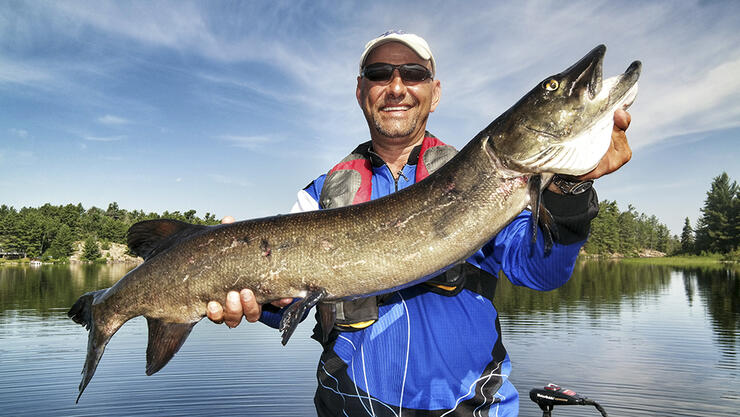 Fish TV On the French River