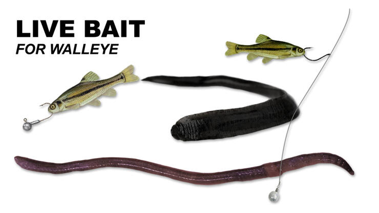 5 Walleye Lures You Can Depend On All Spring Long