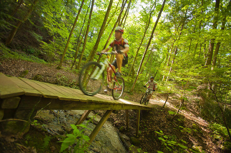 Two cyclists riding on a wooden bridge in a forest.