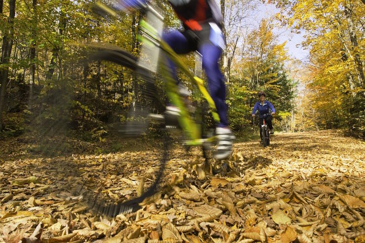 Bike riding on a forest trail in autumn.