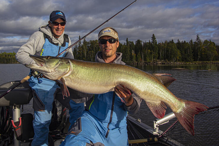 Spoons for Muskie - Ontario Muskie Fishing