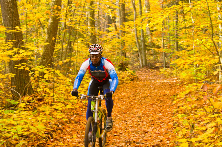 Person on mountain bike surrounded by trees with yellow leaves