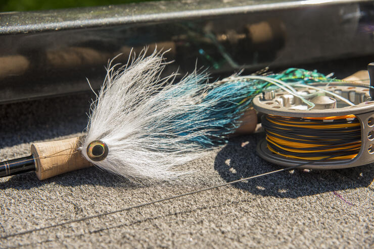 muskie fly