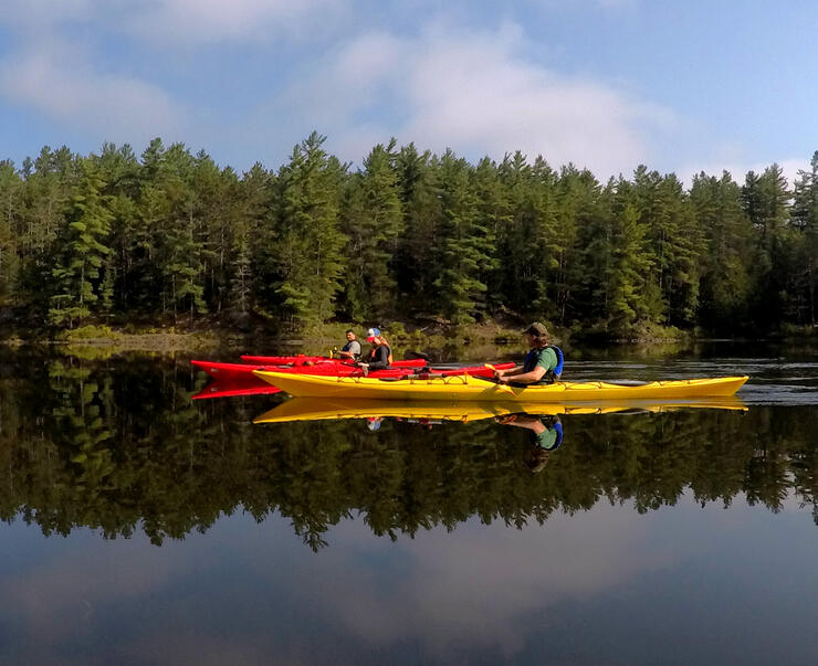 Guided Kayaking with Shockwaves Paddle Adventures