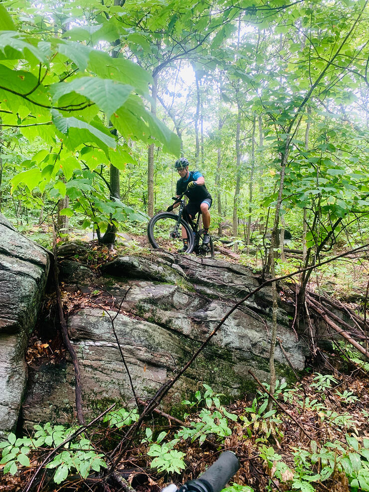 man mountain bikes through forest along the Laurentian Escarpment