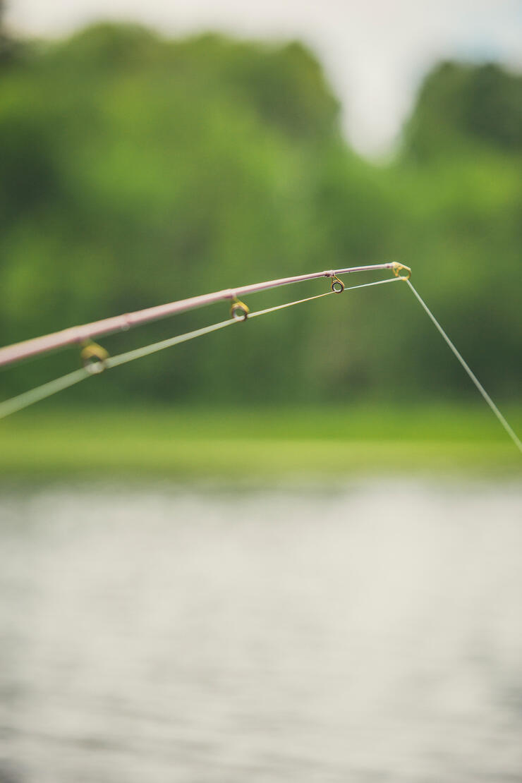 Fishing Rods for sale in Brampton, Ontario