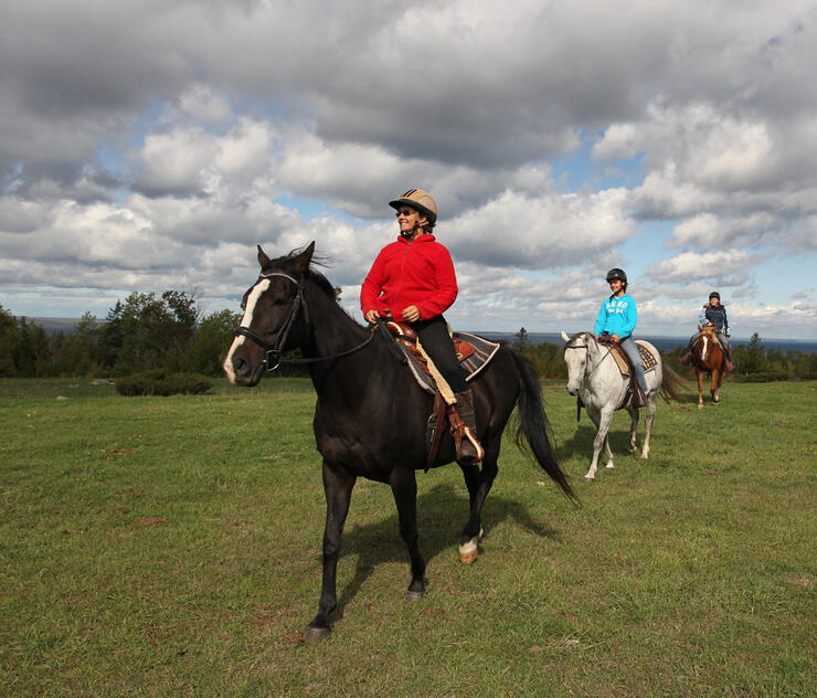 Horseback Trail Rides Tours and Clubs in Ontario Northern