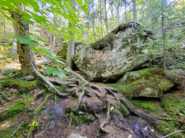 orphan-lake-trail-5