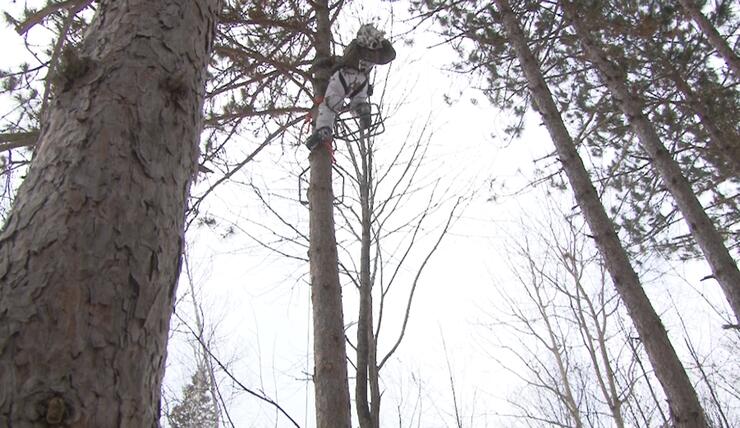 Climbing in the Stand