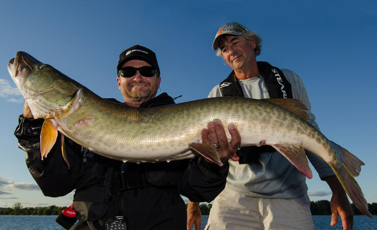 muskie-fishing-3