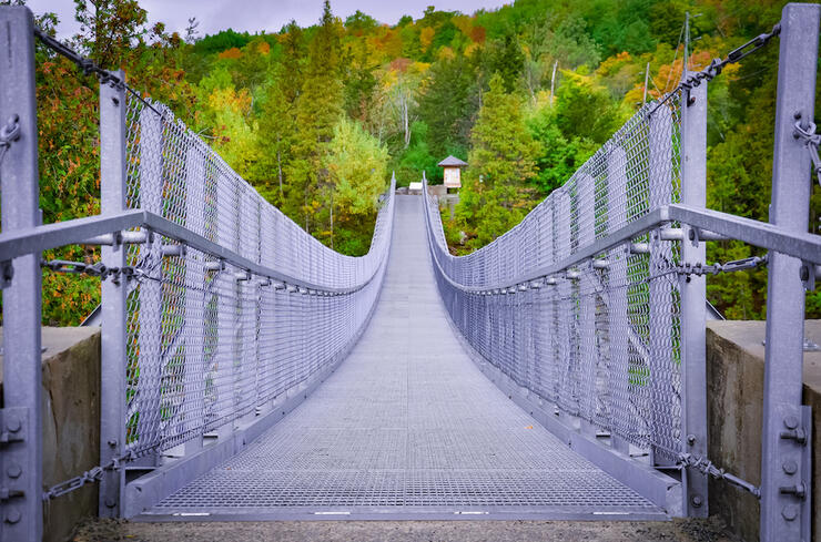 Suspension bridge with colour leaves on other side.