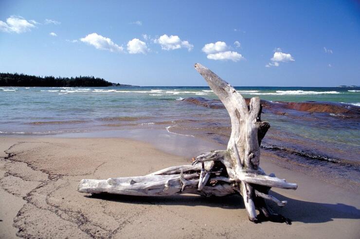 Piece of driftwood on the beach at Lake Superior
