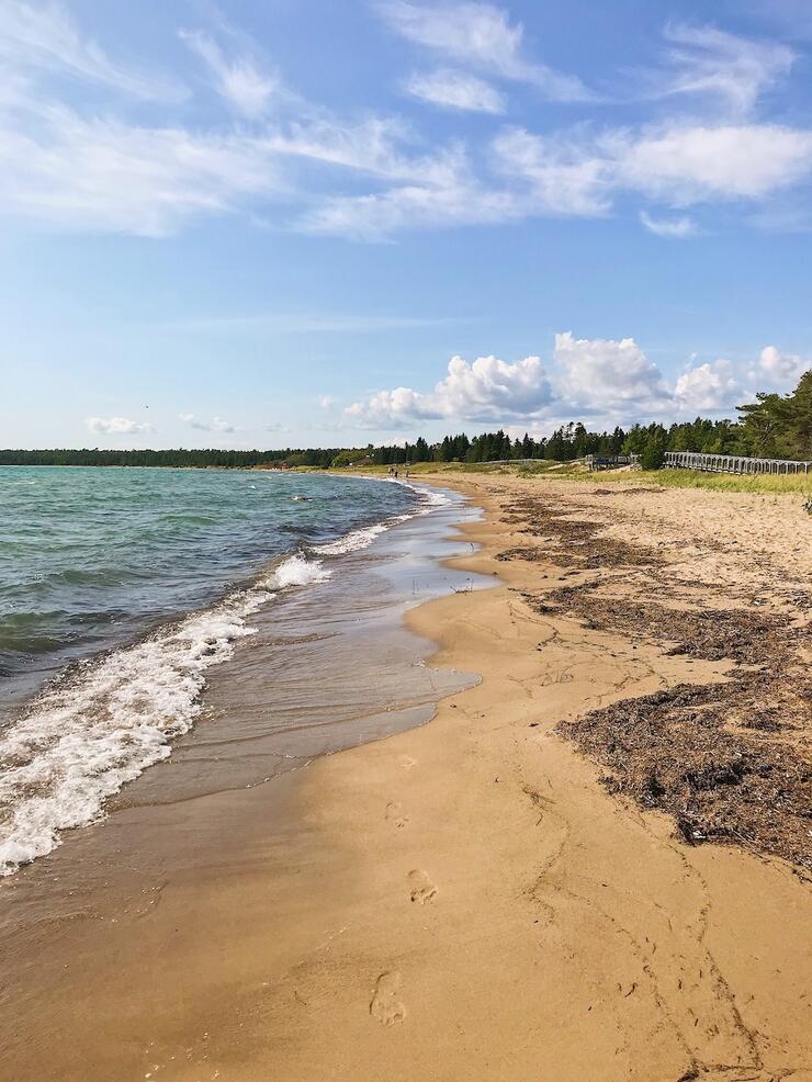 People on a beach