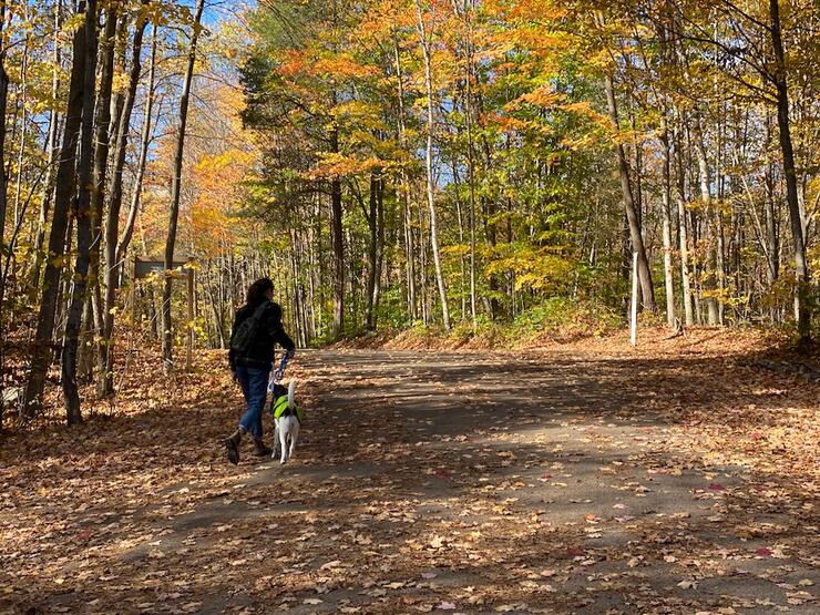 Woman walking her dog on a fall day