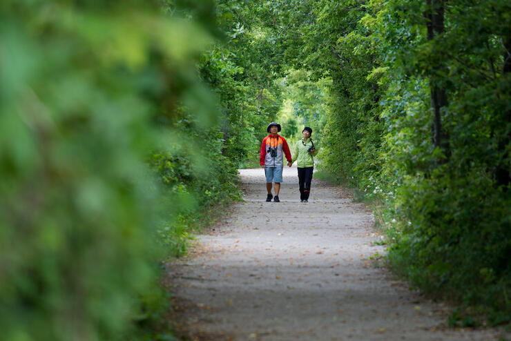 Couple walking on flat path with trees on either side.