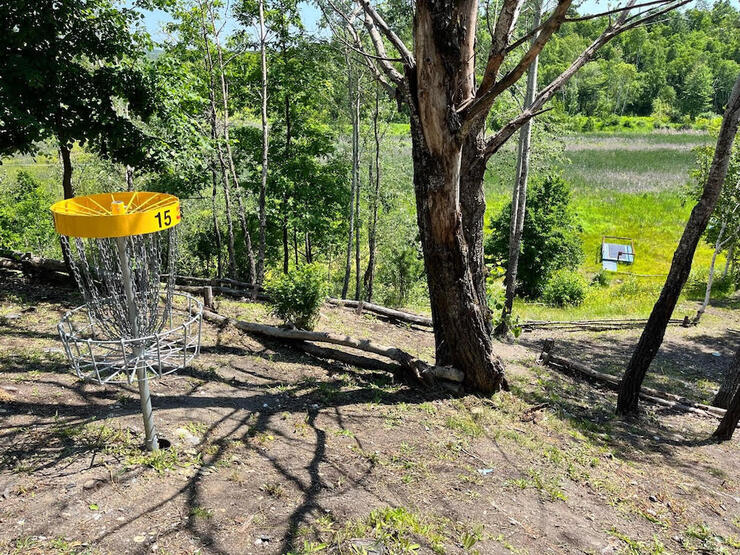 Disc golf looking down to a platform