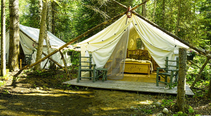 Glamping tent in the woods