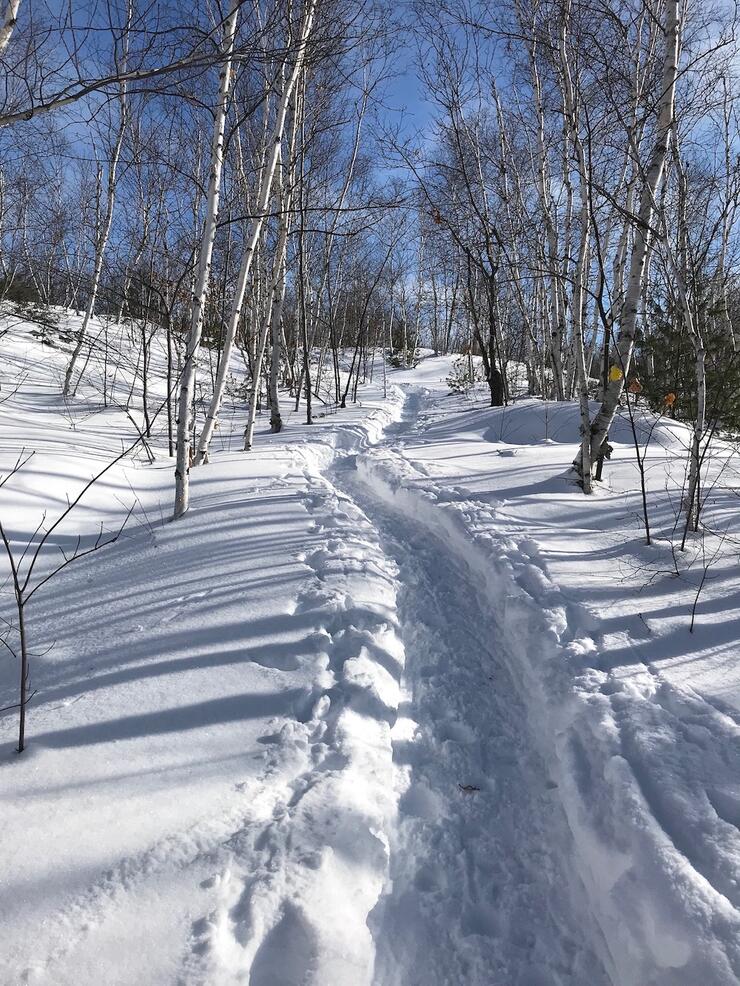 Path through the snow