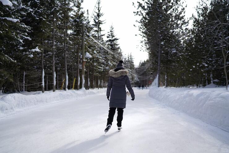 Woman skating down a skating trail lined up snowy trees