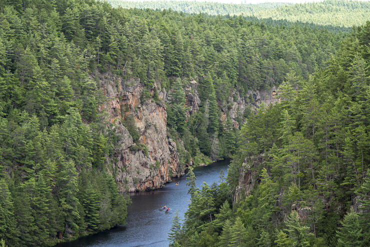 River flowing though cliffs covered in trees