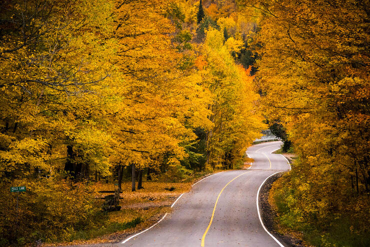 Country road during peak fall colours
