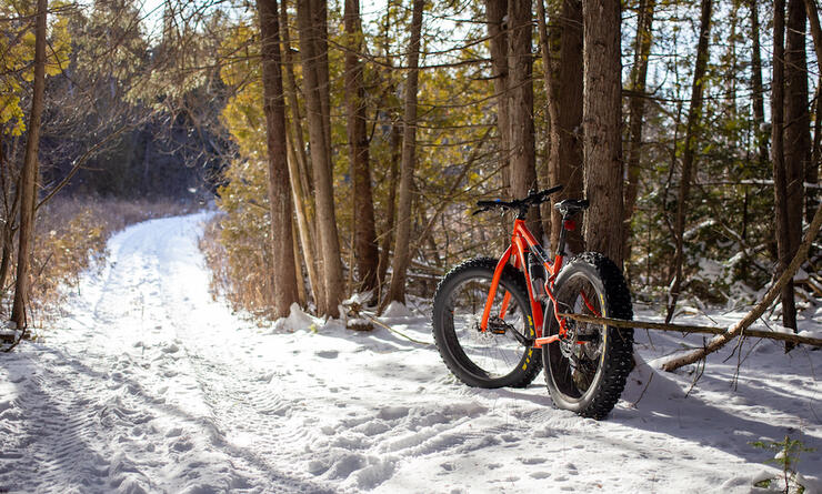 Fat bike parked next to a tree on a snowy trail.