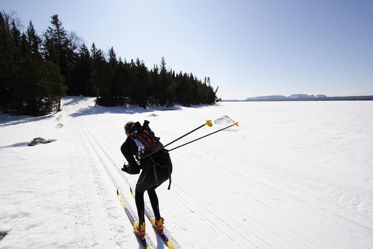 Person cross country skiing into the woods