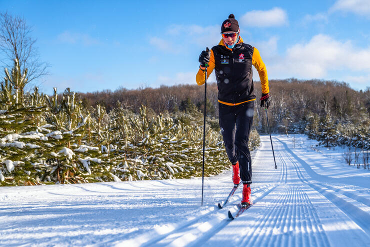 Man cross-country skiing on a trail lined with small evergreen trees