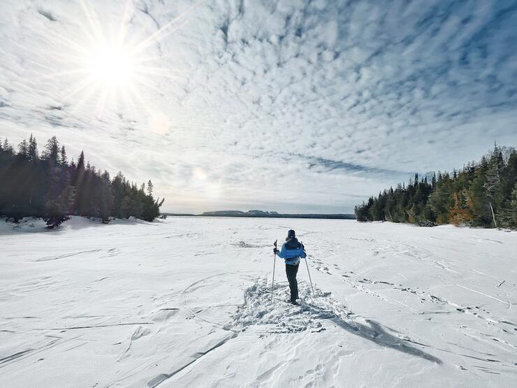 Skier looking out over frozen landscape 