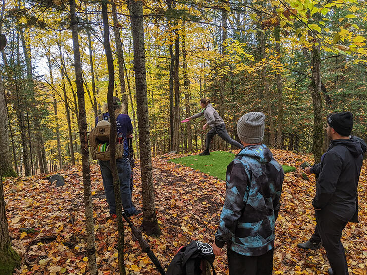 people playing disc golf in a forest